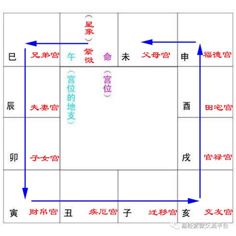 命主|“命主”、“身主星”的理论解读，以兹同好